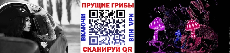 что такое наркотик  Котовск  ОМГ ОМГ маркетплейс  Псилоцибиновые грибы Psilocybine cubensis 