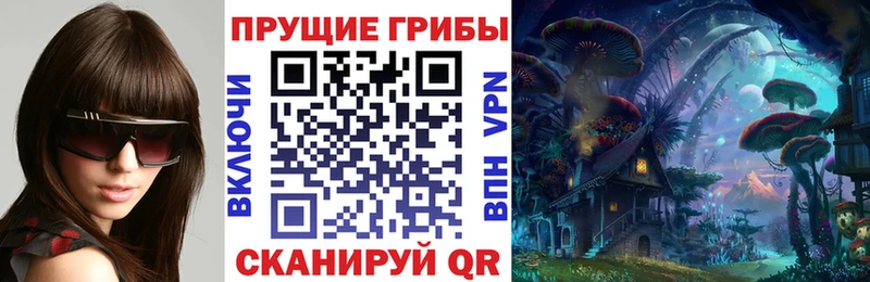 Псилоцибиновые грибы Psilocybe Котовск