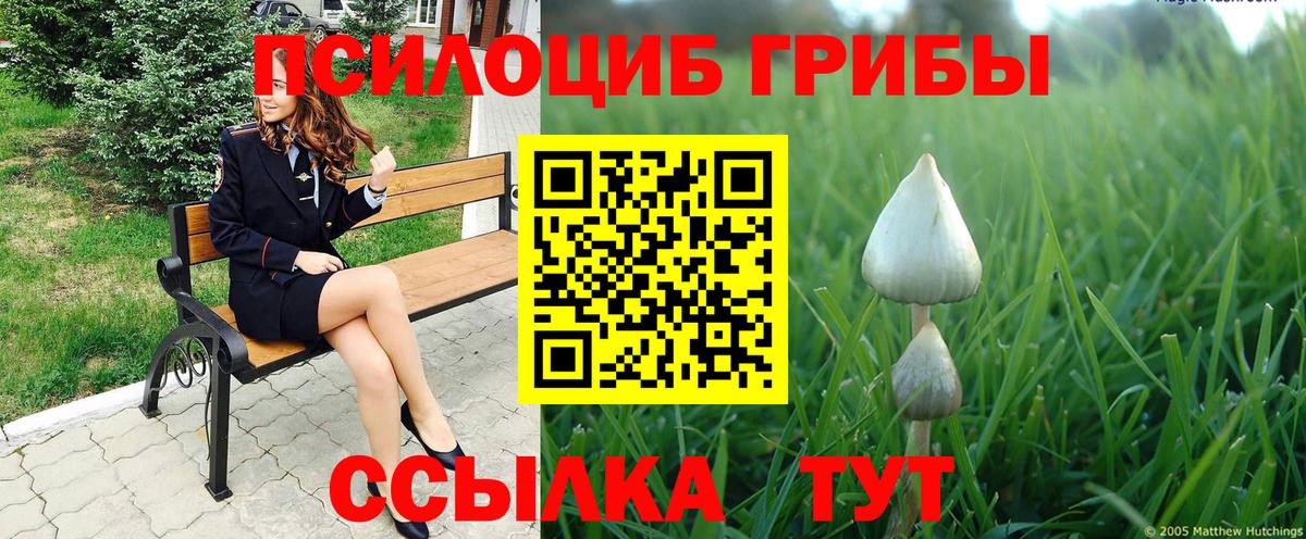 купить   Вход с VPN  Котовск  Галлюциногенные грибы ЛСД 