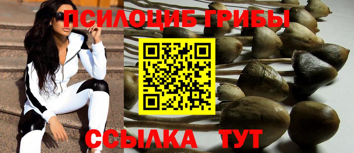 Галлюциногенные грибы GOLDEN TEACHER Котовск